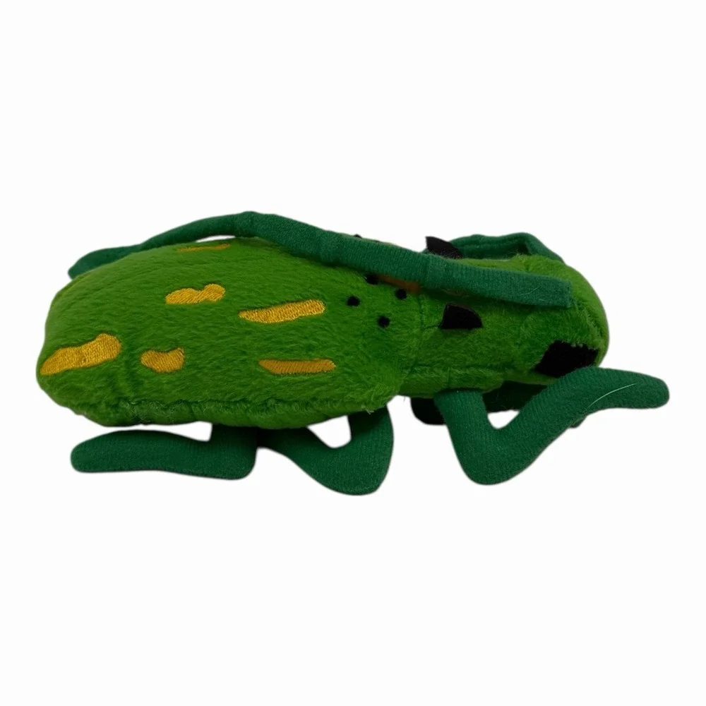Beetle‎ Insects 5